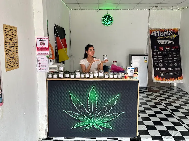 Greenlab cannabis ud