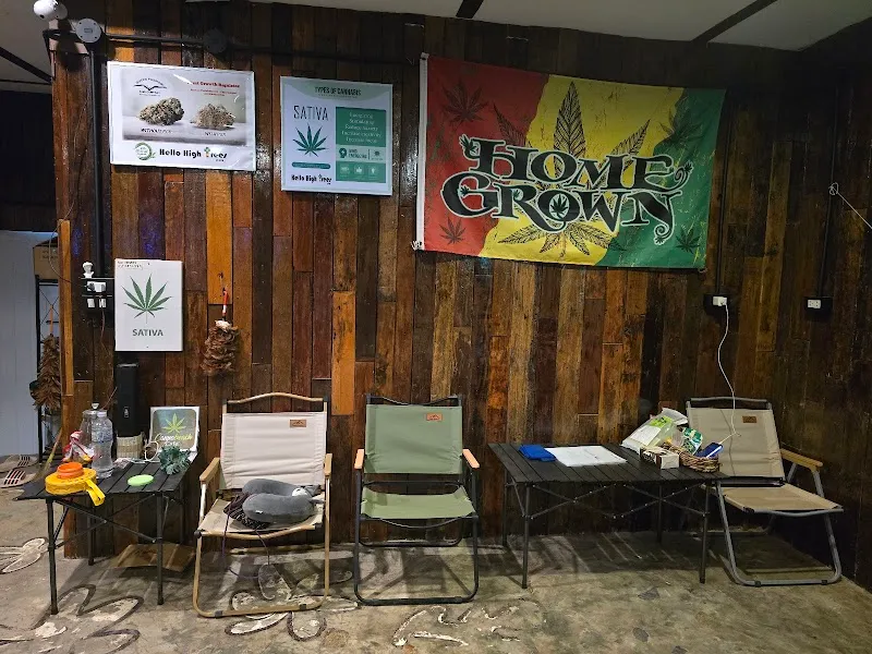 Hello High Trees Cannabis Home Grown