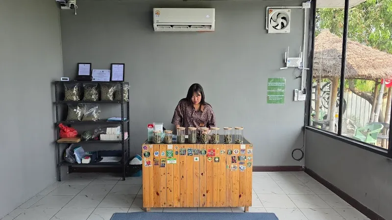 ร้านกัญชา Hello420 cannabis v.3