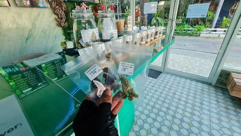 ร้านขายกัญชา High Cloud กาญจนบุรี (Kanchanaburi)