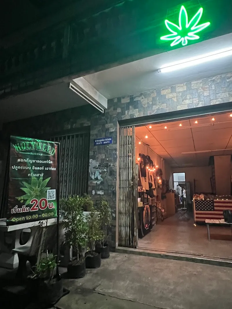 Holyweed Buriram