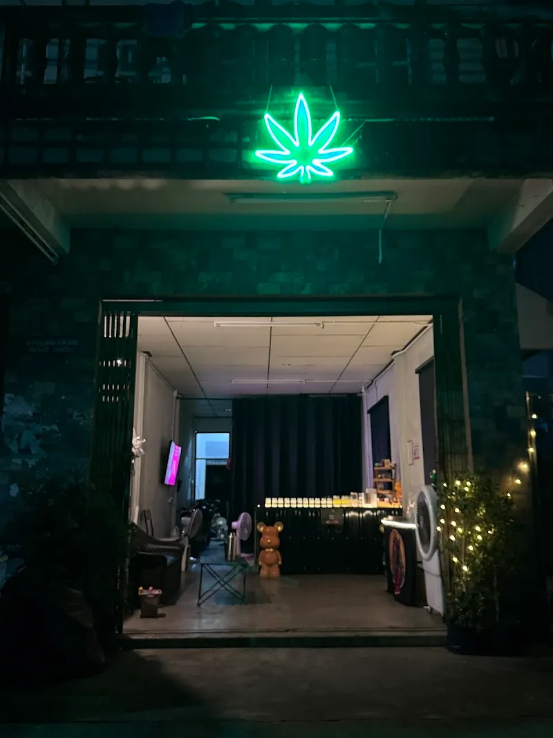 Holyweed Buriram