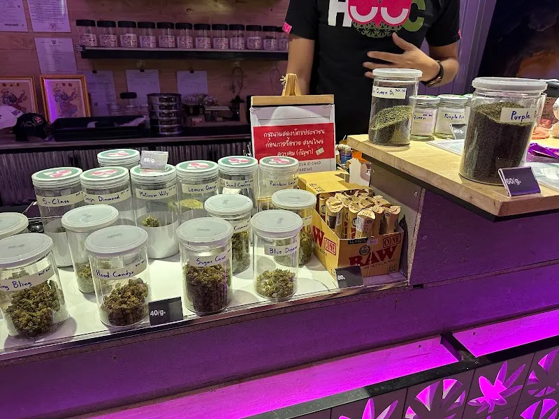 HOuSe Of CaNnaBis