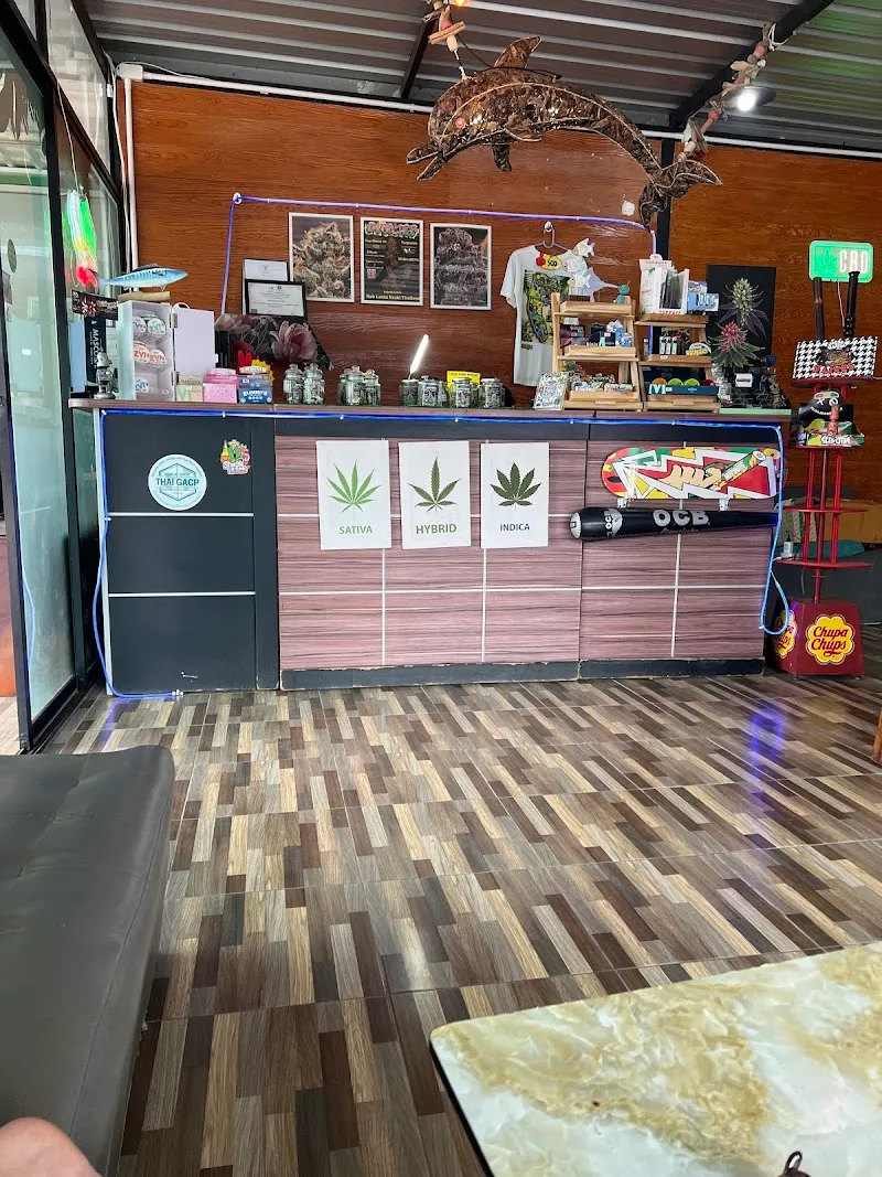 I'am Grower Cannabis ( local Grower )