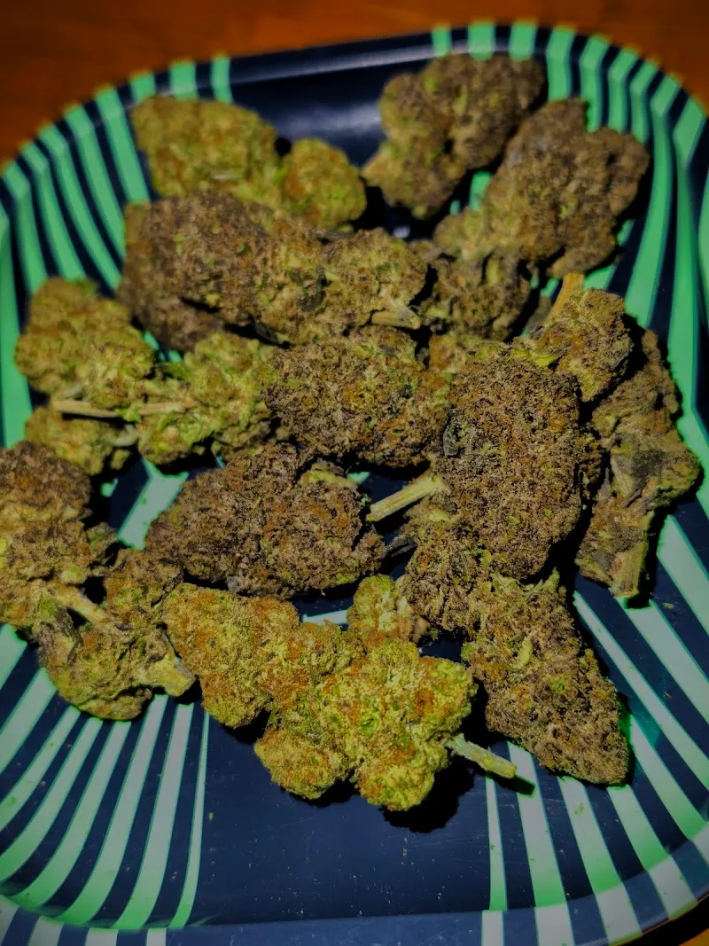 I'am Grower Cannabis ( local Grower )