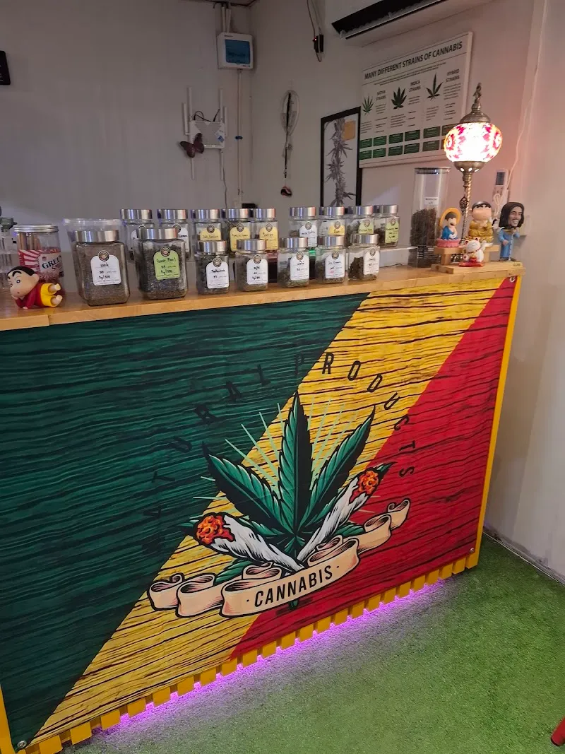 JaFord Cannabis SHOP/ จำหน่ายกัญชา (อุดร) ข้างๆเซเว่น ซ.พรหมประกาย