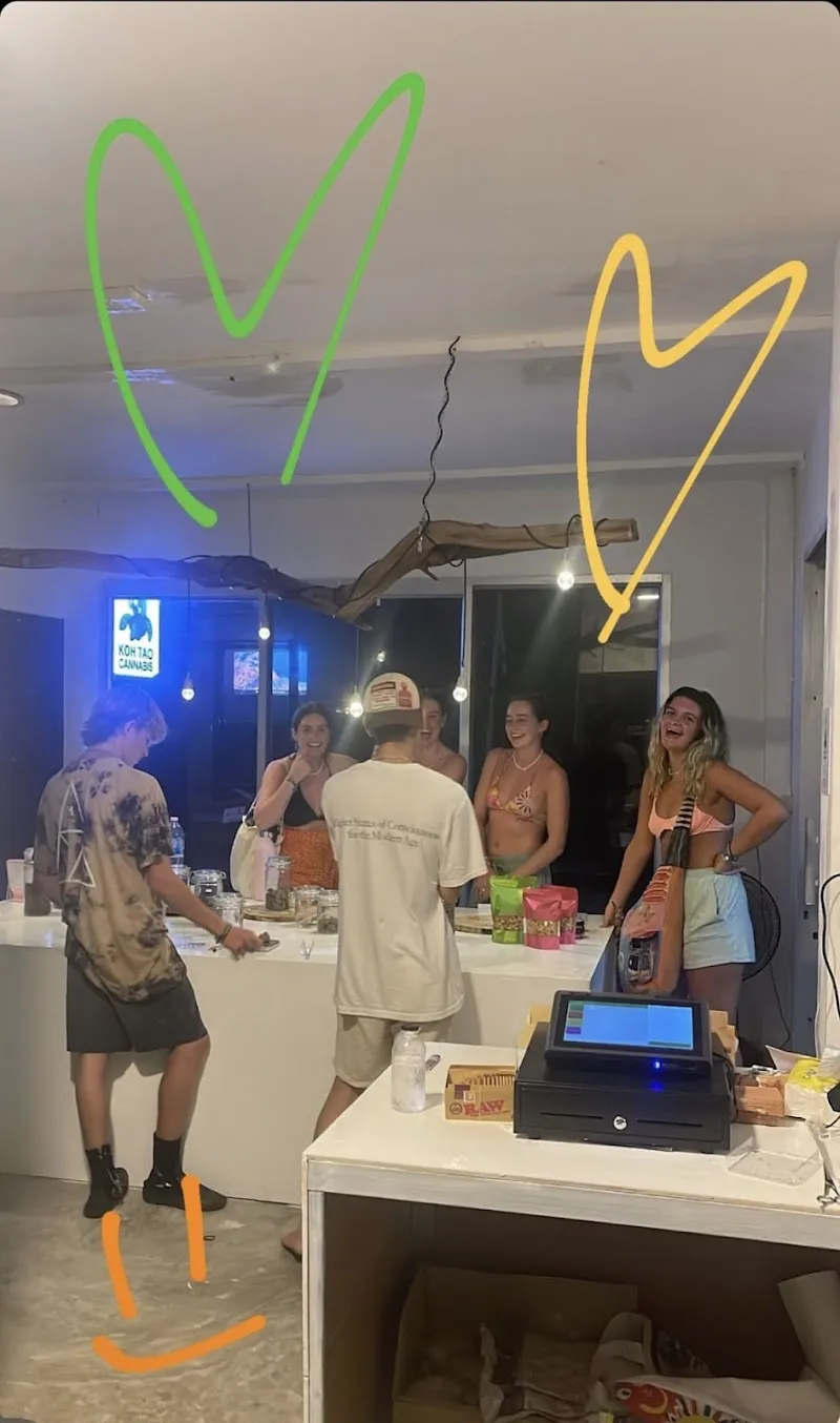Koh Tao Cannabis