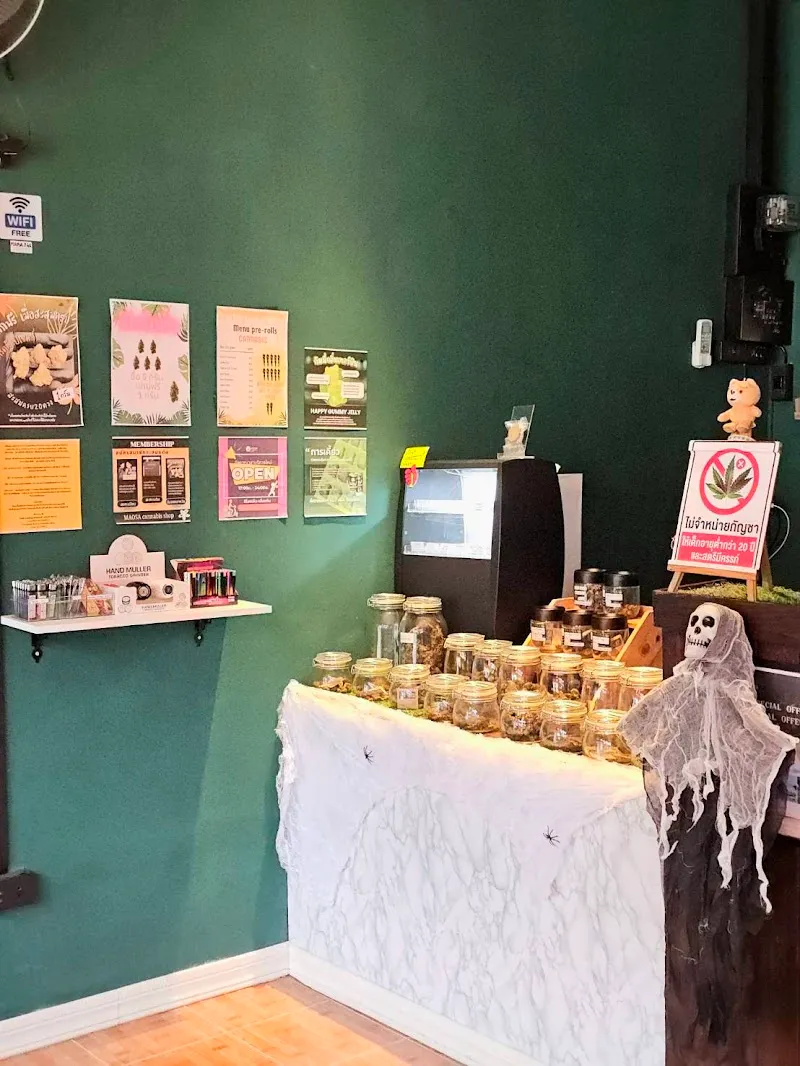 MAOSA Cannabis Shop