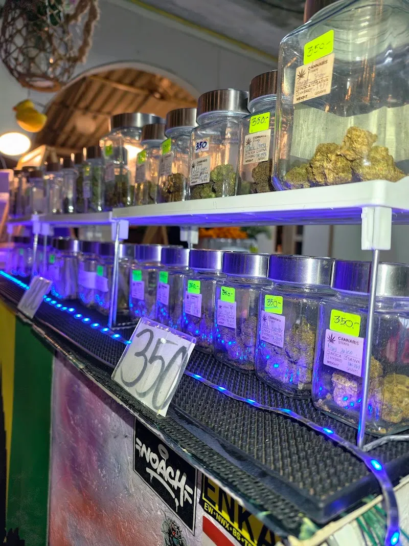 Mini's café bar & cannabis shop