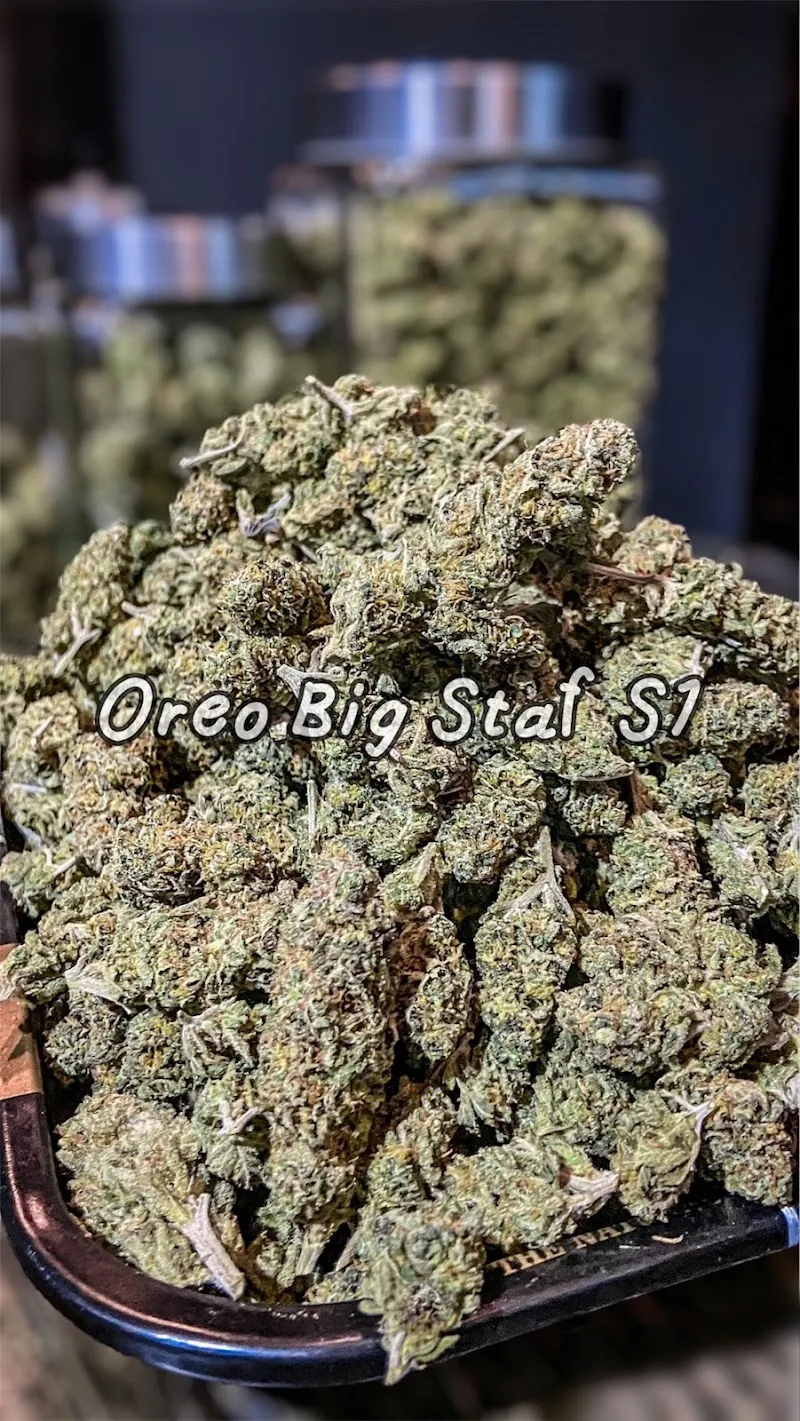 ร้านขายกัญชา MMDS CANNABIS SHOP