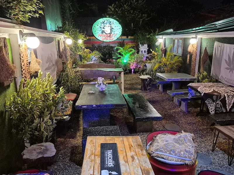 Monkey Cannabis shop