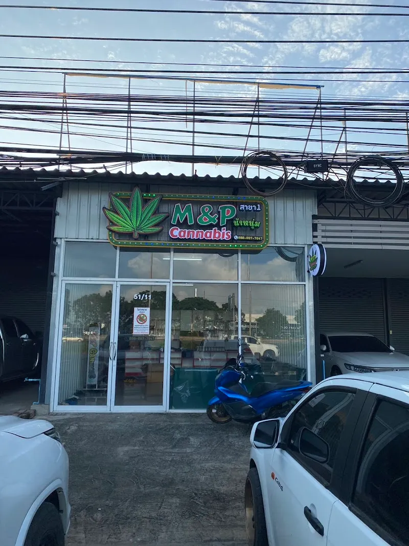 M&P Cannabis โกดังกัญชา