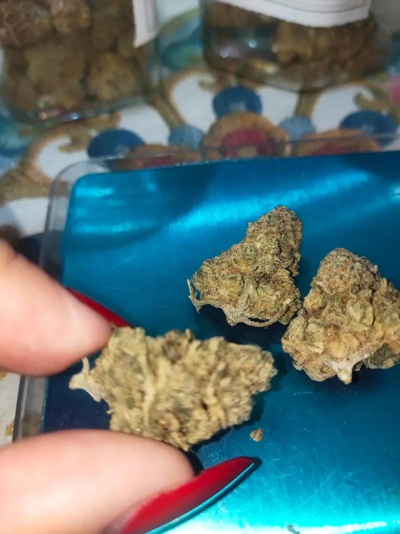 MyWay Cannabis Shop Kon Lanta