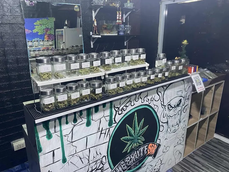Nasoy Cannabis shop