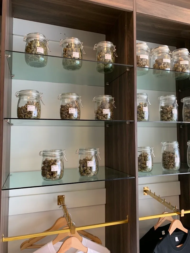 ร้านกัญชาไนท์มูฟ-กาญจนบุรี (Nightmove Kanchanaburi Cannabis store)