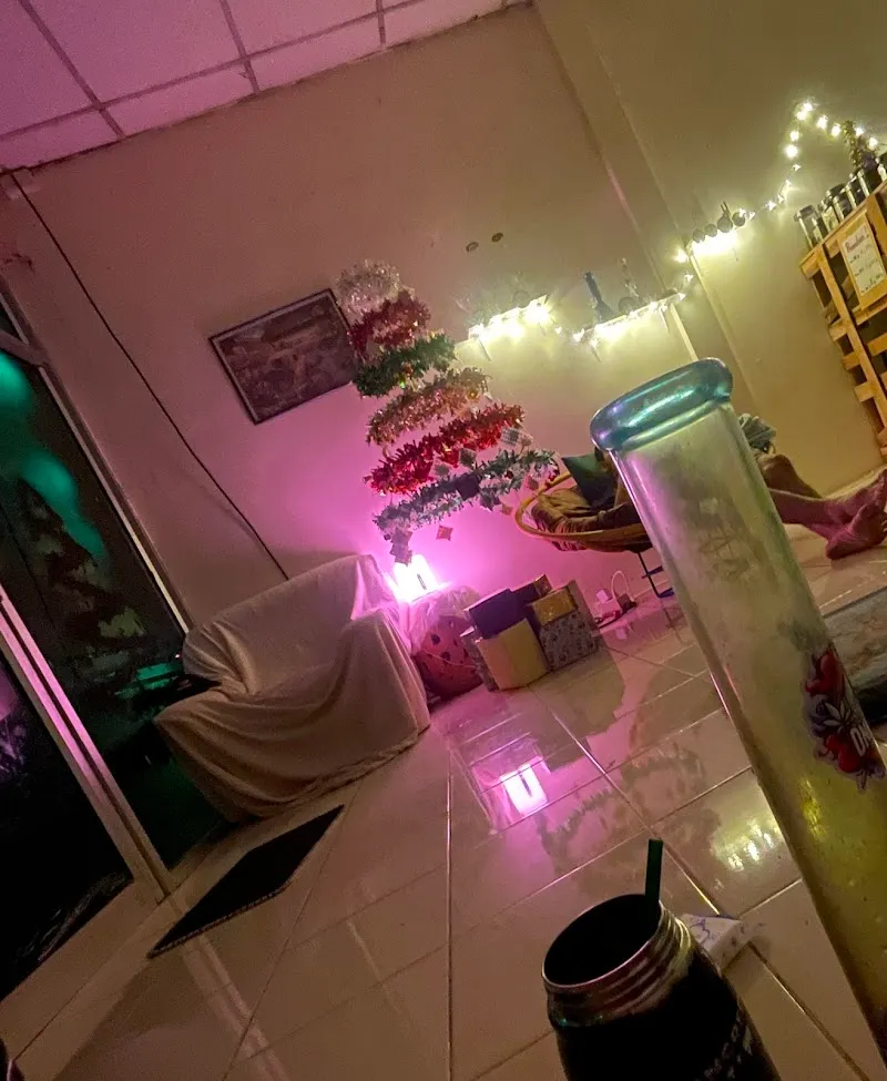 ร้านกัญชา one hit cannabis shop