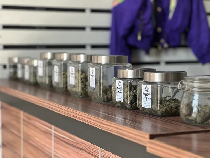 Panther THC Cannabis Shop