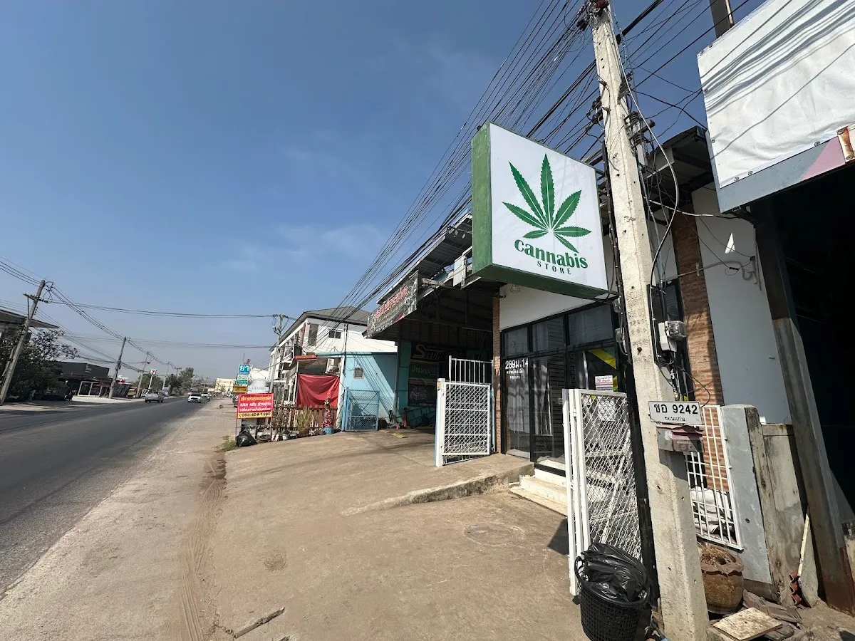 Panther THC Cannabis Shop