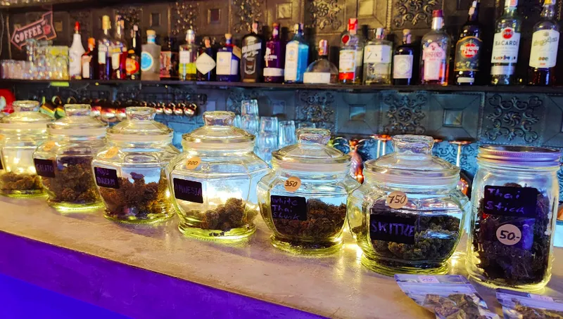 Phuket Cannabis