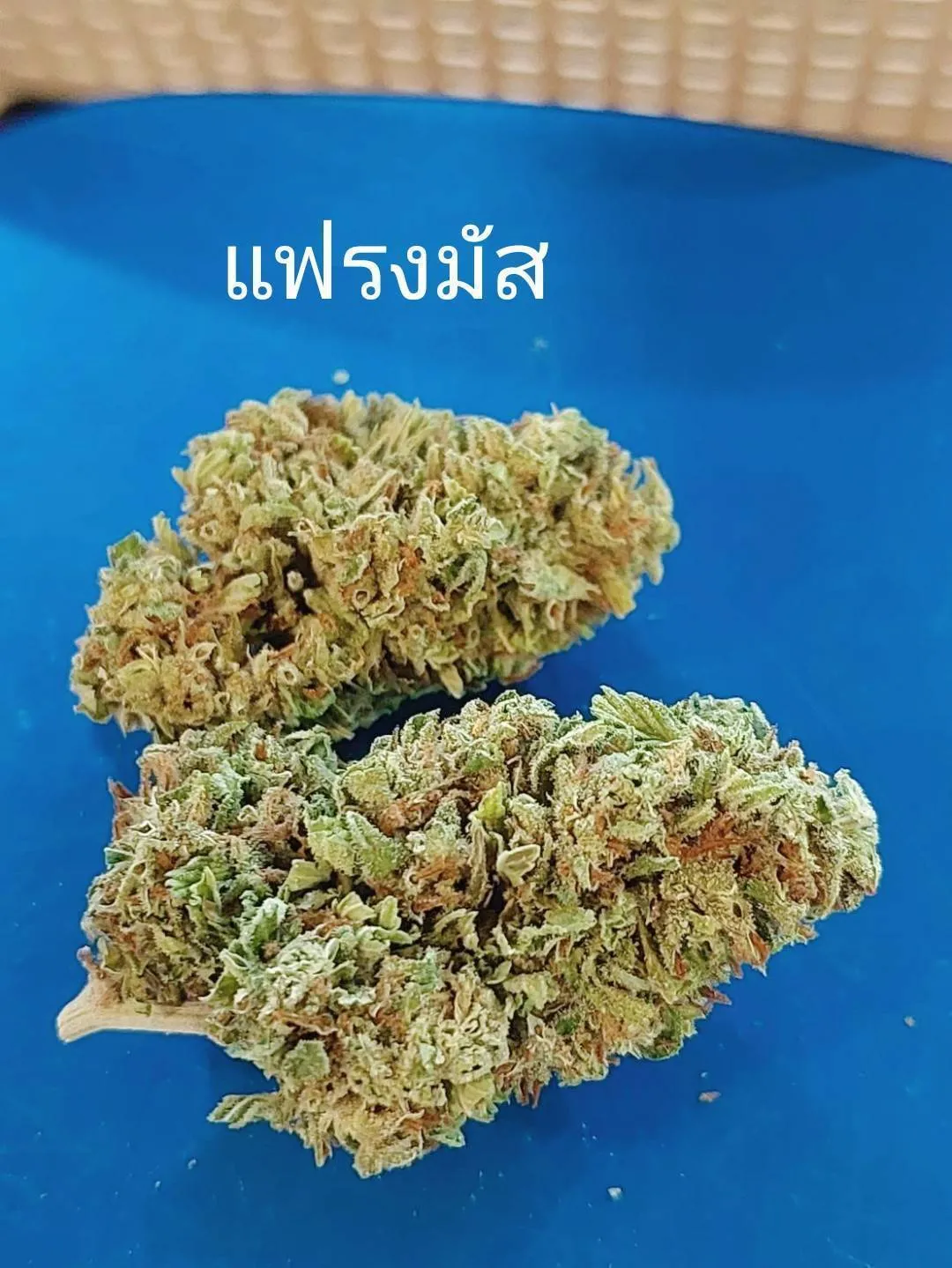 ร้านขายกัญชาพิบูลมังสาหาร(ธรรมชาติ)