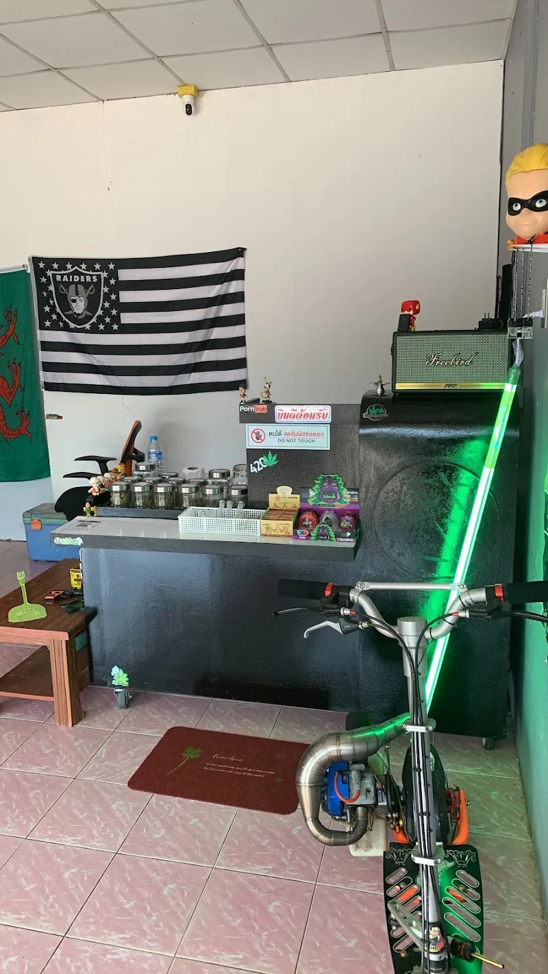 PTK 420 Cannabis