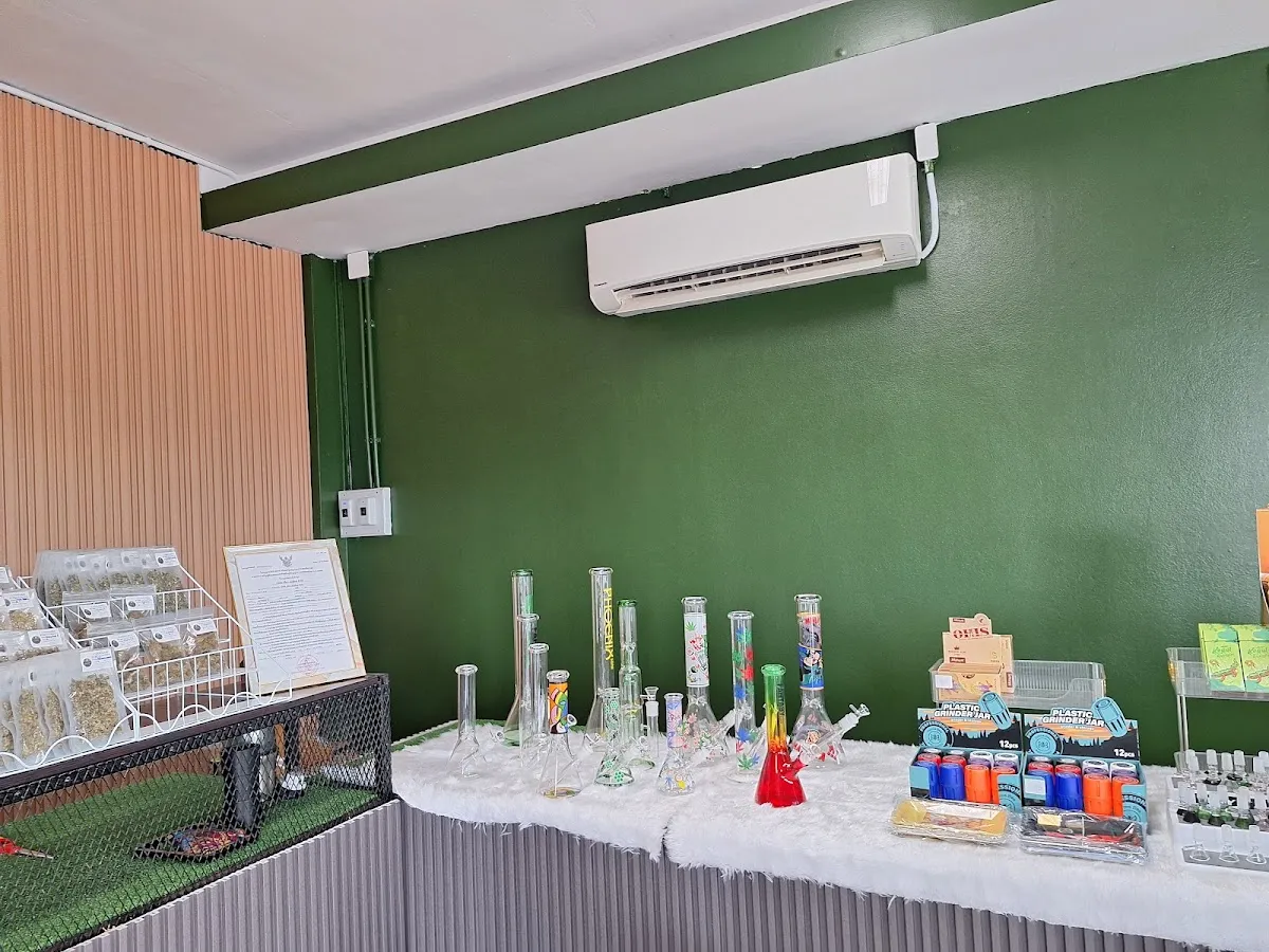 ร้านกัญชา เพียว เจเนติกส์ pure genetics cannabis