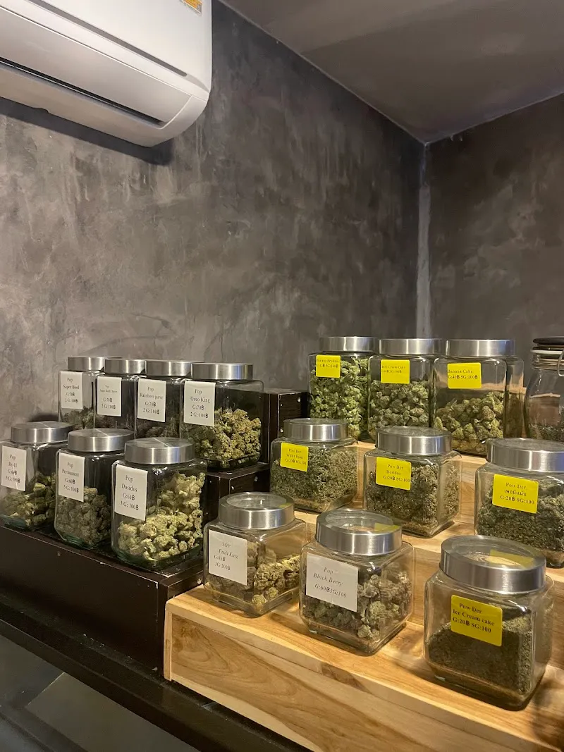SHOGUN CANNABIS