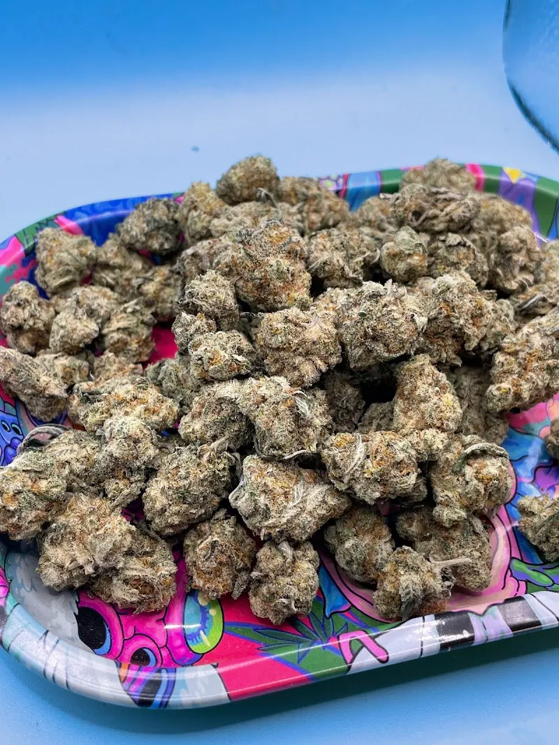 SHOGUN CANNABIS