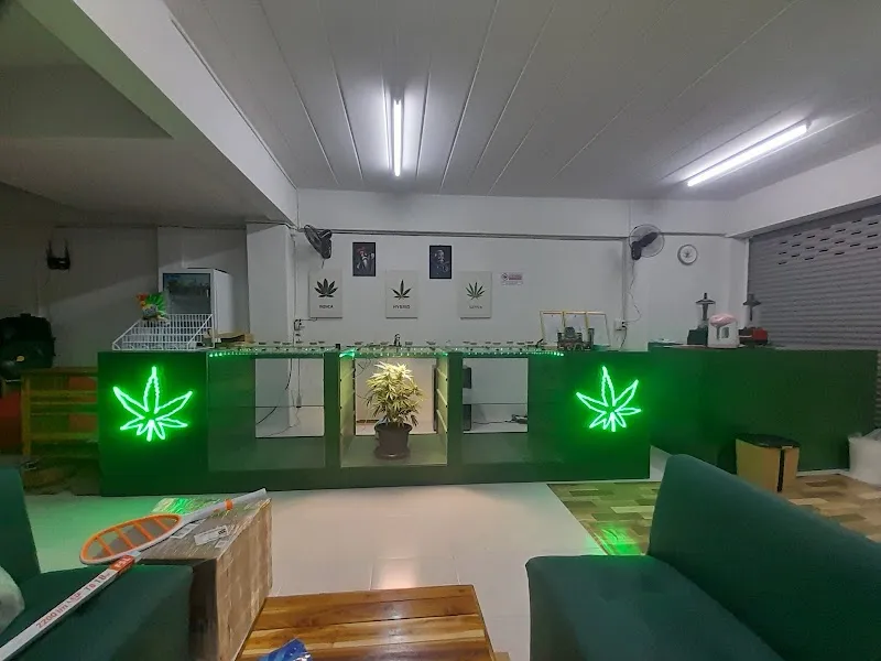 StarWeed Dispensary Cannabis Store