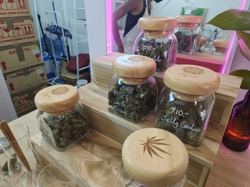 Sukhumweed