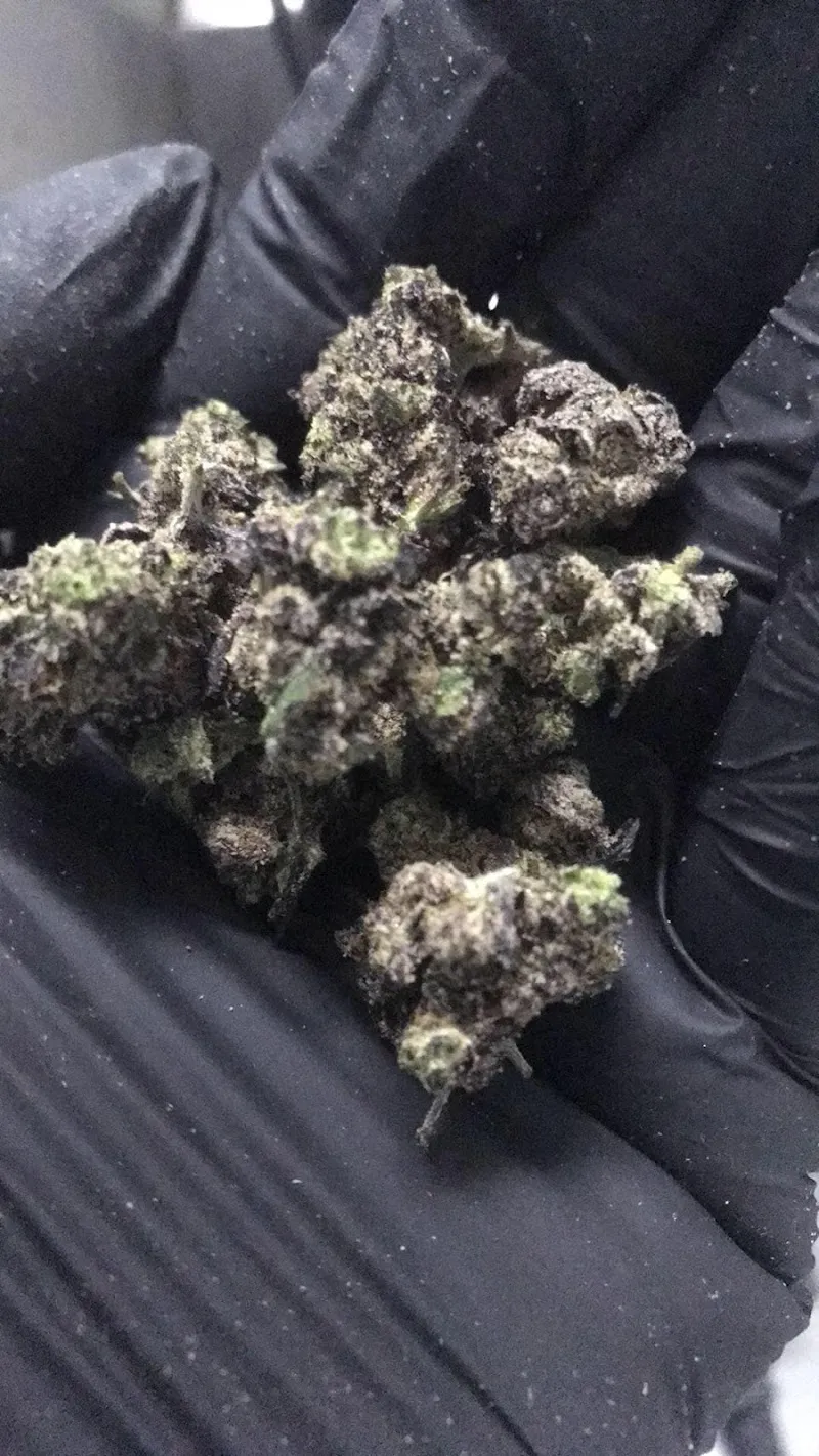 Sweedcannabis