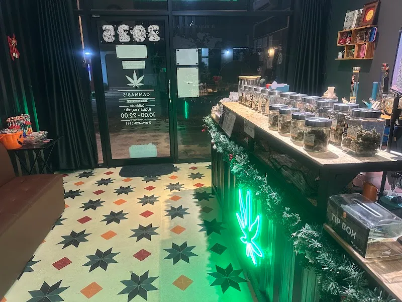 The Moon Seeds (weed shop)