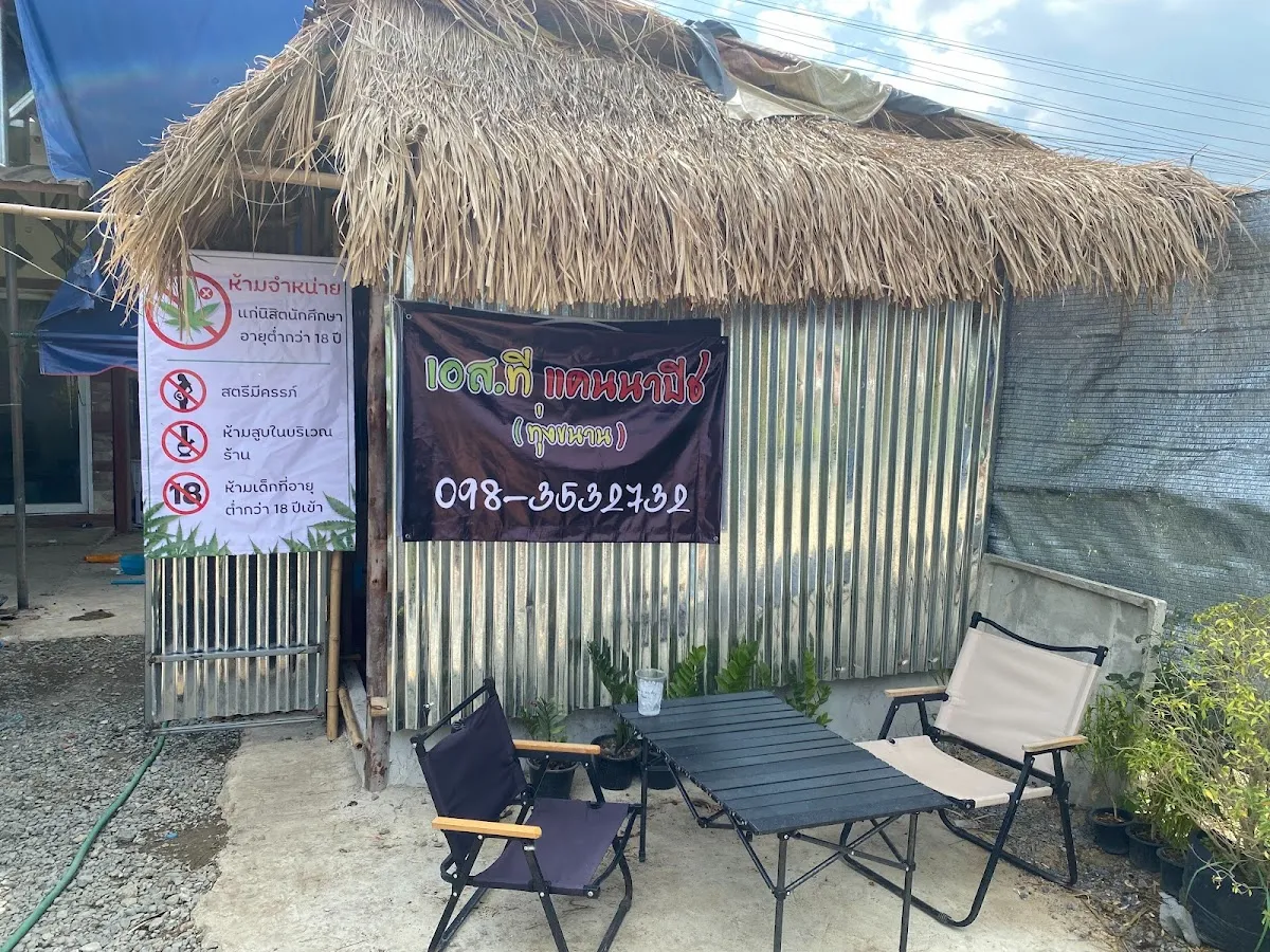 The SUD Hybrid (ST.Cannabis ทุ่งขนาน)