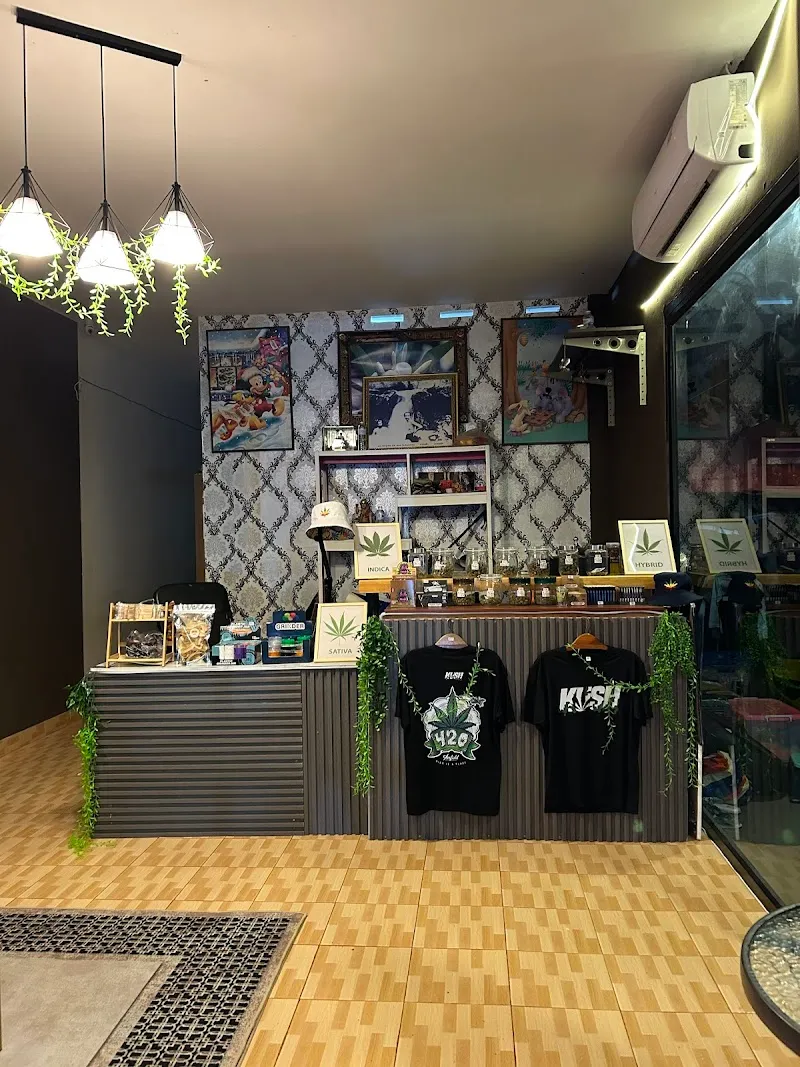 Tle Cannabis(Weed Shop)