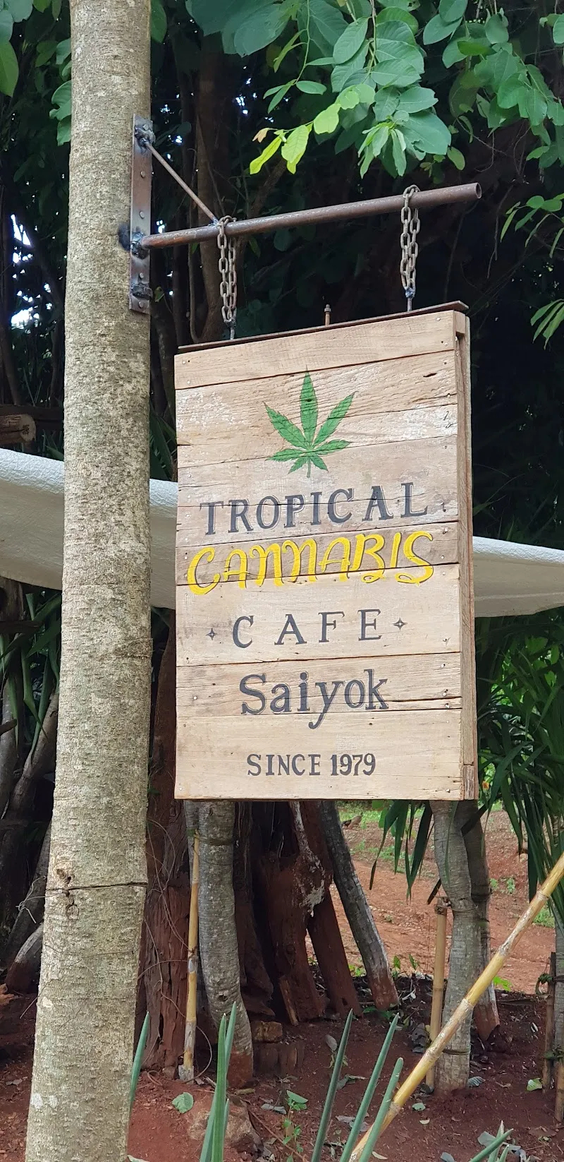 Tropical Cannabis cafe