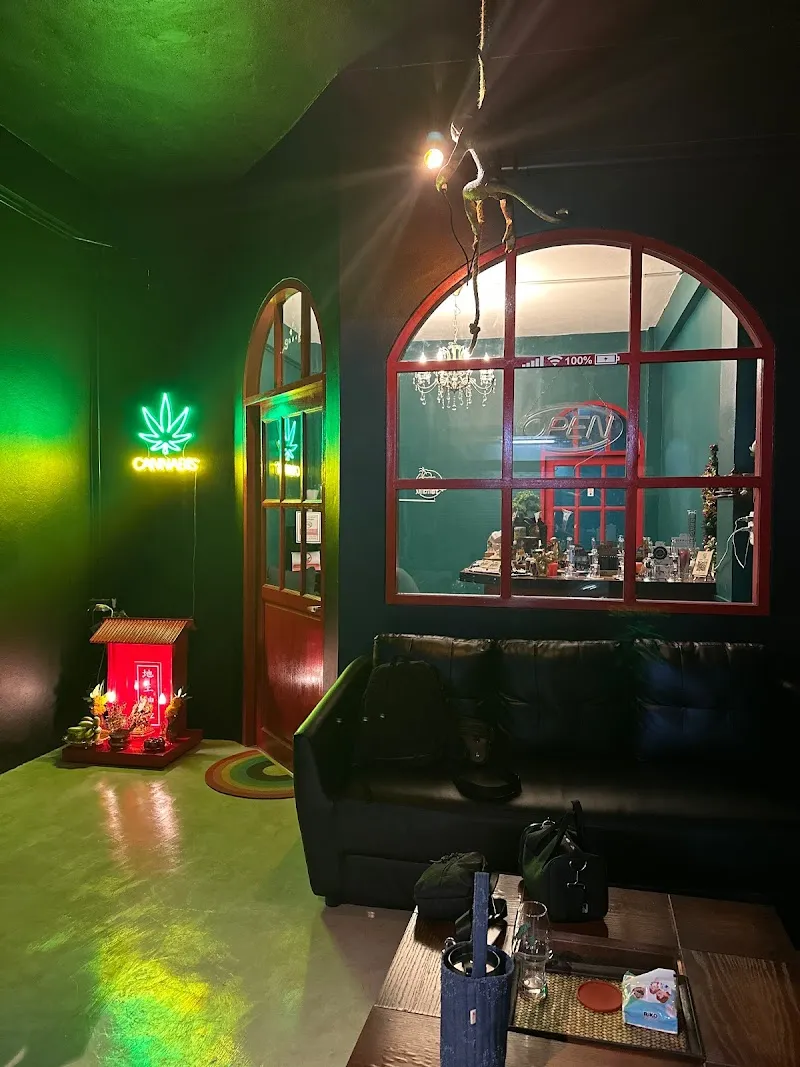 Tropical Cannabis Culture [ Weed Shop / Dispensary ]