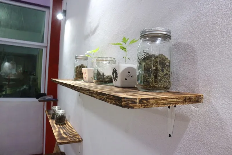 UDD CANNABIS