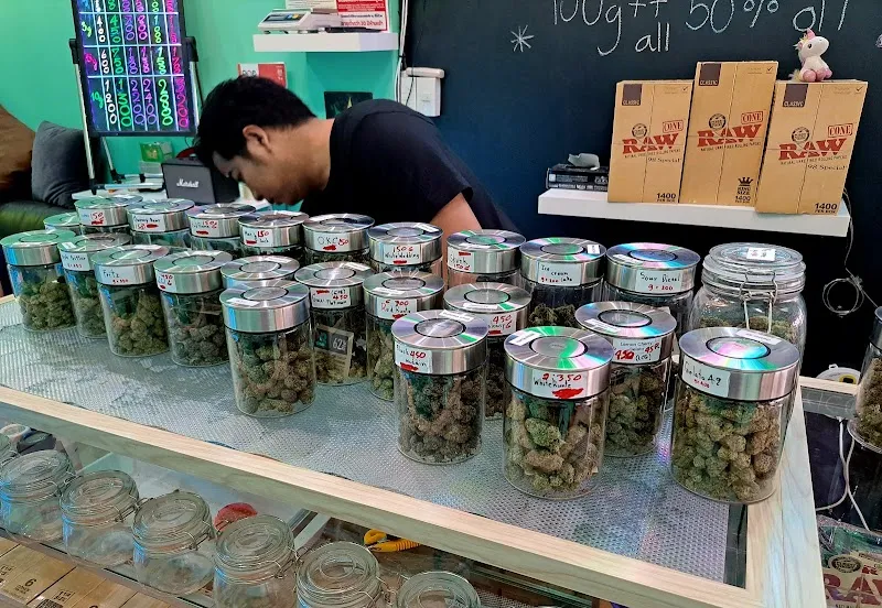 UDF - WEED SHOP UDON