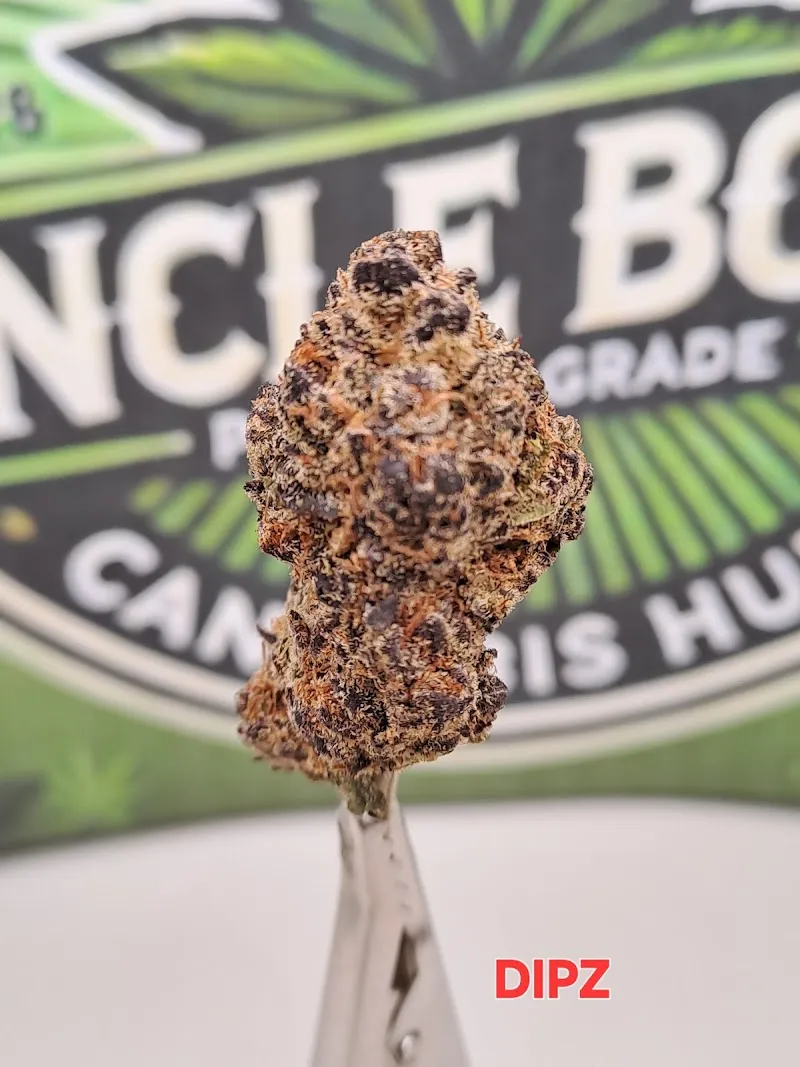 UNCLE BOB'S 420
