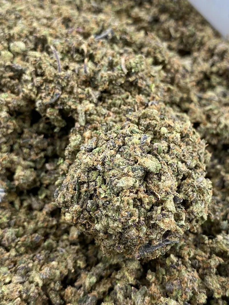 Wazabi cannabis