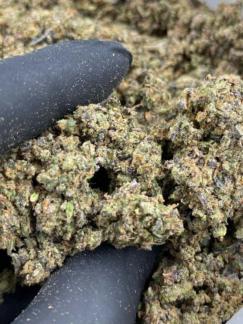 Wazabi cannabis