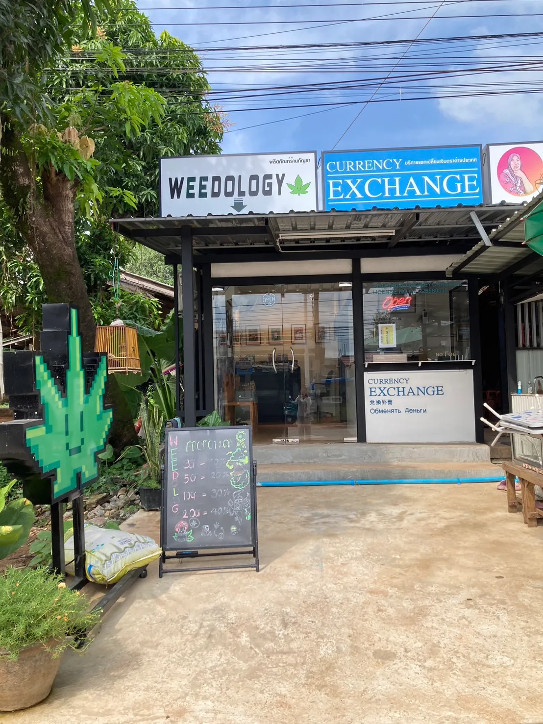 Weedology Cannabis Culture Lanta 2
