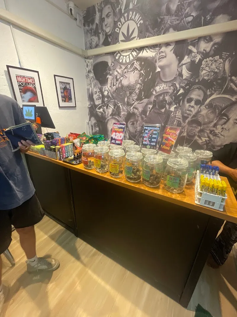 Weedology Cannabis Culture Lanta