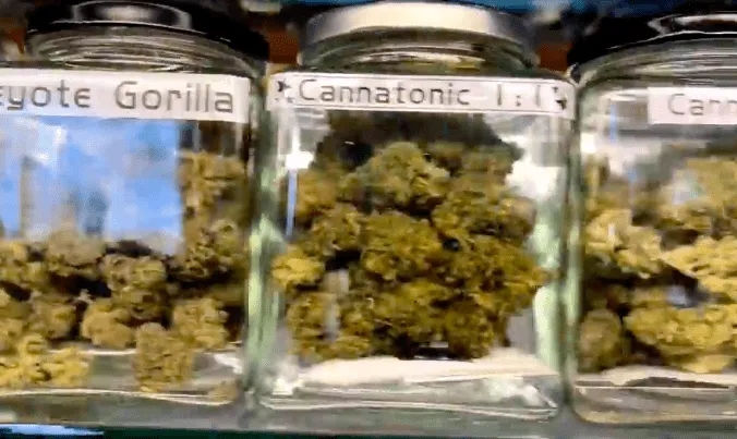 World Wide Weed