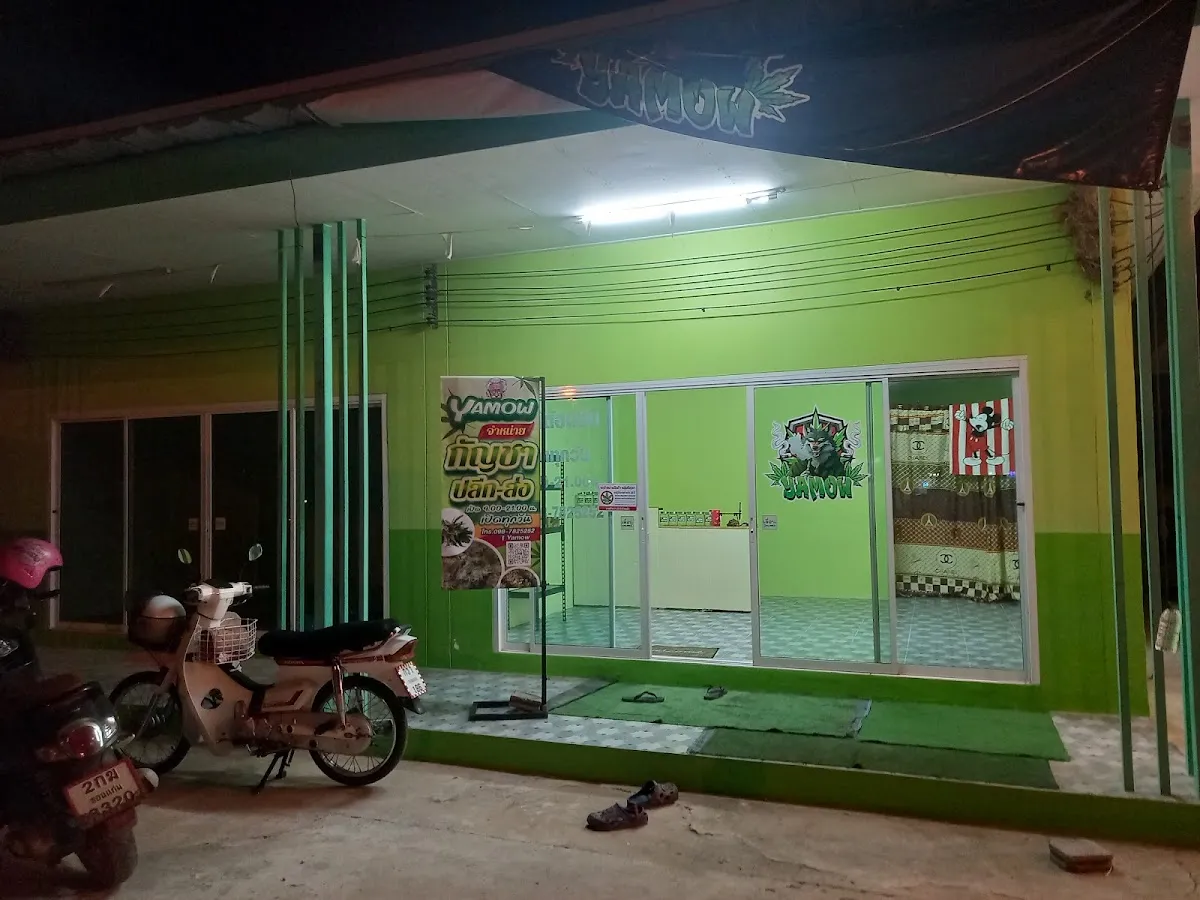 ร้านกัญชา Yamow