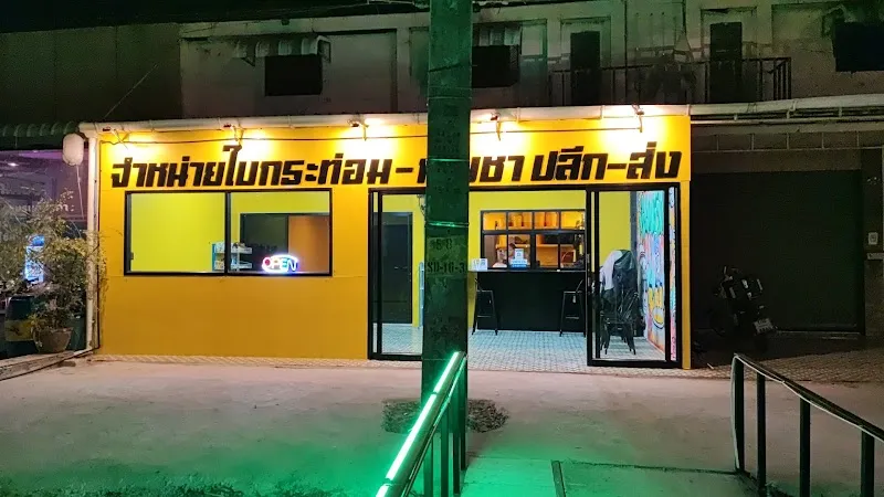 กระท่อม - กัญ ทางออกสกล - YUNRANG