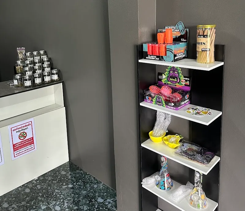 ZEEZUAR Cannabis Shop (ร้านกัญชาซี้ซั้ว)