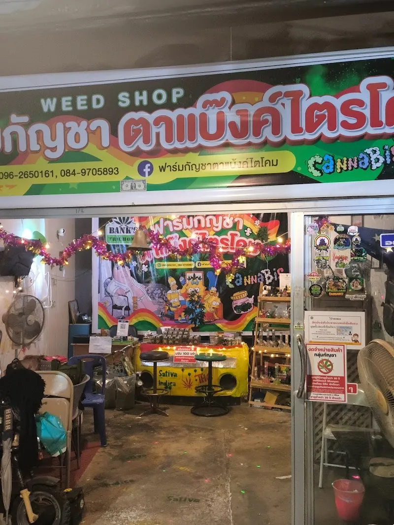 ฟาร์มกัญชาตาแบ๊งค์ไตรโคม สาขา 2
