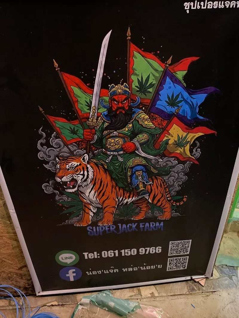 Cannabis Super Jack Farm