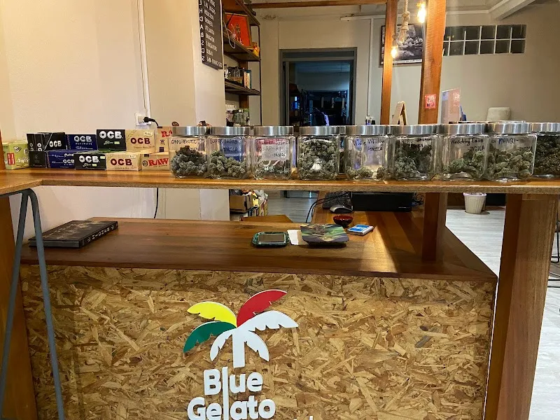 Koh Tao Blue Gelato Cannabis Shop Oganic Farm